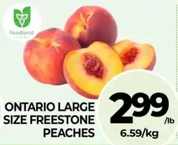 Vince's Market Ontario large size freestone peaches offer