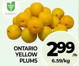 Vince's Market Ontario yellow plums offer