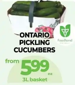 Vince's Market Ontario pickling cucumbers offer