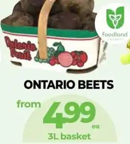 Vince's Market Ontario Beets offer