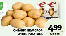 Vince's Market Ontario new crop white potatoes offer