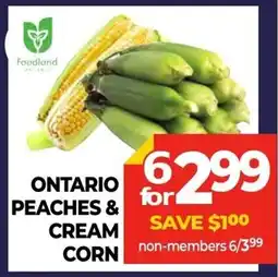 Vince's Market Ontario peaches & cream corn offer