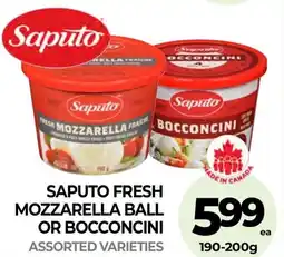 Vince's Market Saputo fresh mozzarella ball or bocconcini offer