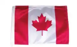 Princess Auto 12 x 18 in. Car Window Canada Flags offer