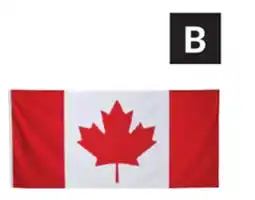 Princess Auto Canada Flags offer