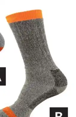 Princess Auto Light Grey 2 pr Work Socks offer