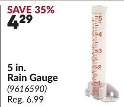 Princess Auto 5 in. Rain Gauge offer