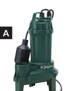 Princess Auto 1/3 HP Standard Cast-Iron Sewage Pumps offer