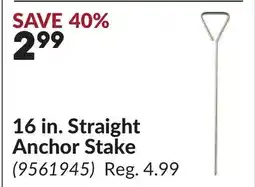 Princess Auto 16 in. Straight Anchor Stake offer