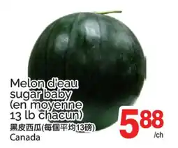 T&T Supermarket MELON D'EAU SUGAR BABY offer