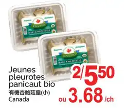 T&T Supermarket JEUNES PLEUROTES PANICAUT BIO offer