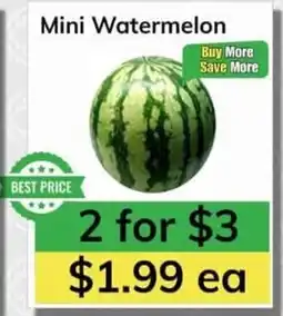Oma Fresh Foods Mini Watermelon offer