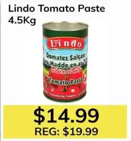 Oma Fresh Foods Lindo Tomato Paste offer