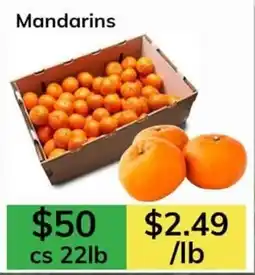 Oma Fresh Foods Mandarins offer