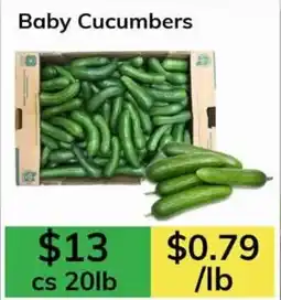 Oma Fresh Foods Baby Cucumbers offer