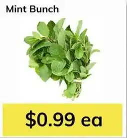 Oma Fresh Foods Mint Bunch offer