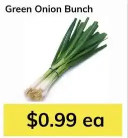 Oma Fresh Foods Green Onion Bunch offer