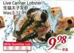 Tone Tai Supermarket Live Canner Lobster offer