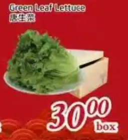 Tone Tai Supermarket Green Leaf Lettuce offer