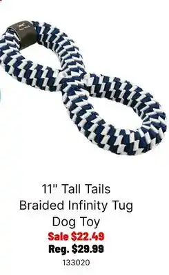 Ren’s Pets Depot 11 Tall Tails Braided Infinity Tug Dog Toy offer
