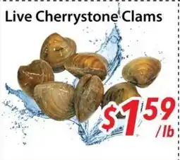 Bestco Food Mart Live Cherrystone Clams offer