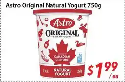 Bestco Food Mart Astro Original Natural Yogurt offer