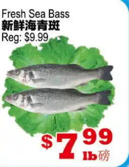 Yuan Ming Supermarket Fresh Sea Bass offer