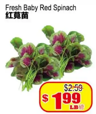 Yuan Ming Supermarket Fresh Baby Red Spinach offer