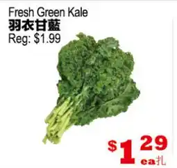 Yuan Ming Supermarket Fresh Green Kale offer