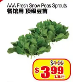 Yuan Ming Supermarket AAA Fresh Snow Peas Sprouts offer
