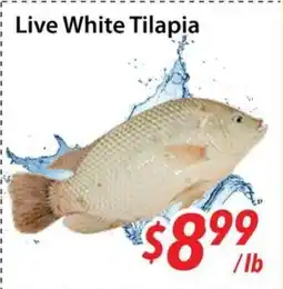 Bestco Food Mart Live White Tilapia offer