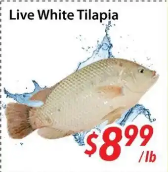 Bestco Food Mart Live White Tilapia offer