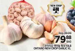 H-Mart ONTARIO NEW CROP GARLIC XL offer