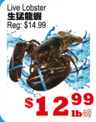 Yuan Ming Supermarket Live Lobster offer