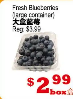 Yuan Ming Supermarket Fresh Blueberries (large container) offer