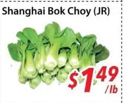 Bestco Food Mart Shanghai Bok Choy (JR) offer