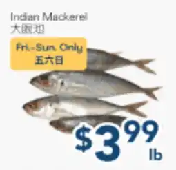 Oceans Fresh Food Market Indian Mackerel offer