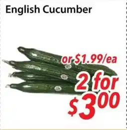 Bestco Food Mart English Cucumber offer