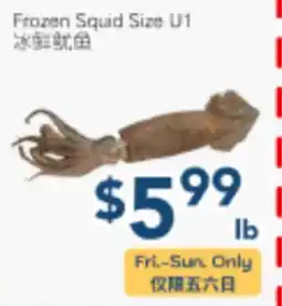 Oceans Fresh Food Market Frozen Squid Size U1 offer