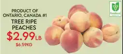 Fiesta Farms PRODUCT OF ONTARIO, CANADA #1 TREE RIPE PEACHES offer