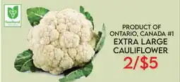 Fiesta Farms PRODUCT OF ONTARIO, CANADA #1 EXTRA LARGE CAULIFLOWER offer