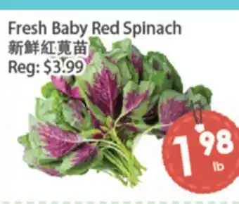 Fresh Palace Supermarket Fresh Baby Red Spinach offer