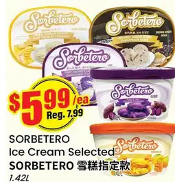 Terra Foodmart SORBETERO Ice Cream Selected offer
