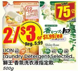 Terra Foodmart LION Laundry Detergent Selected offer