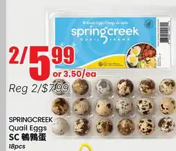 Terra Foodmart SPRINGCREEK Quail Eggs offer