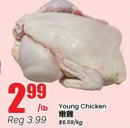 Terra Foodmart Young Chicken offer