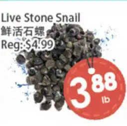 Fresh Palace Supermarket Live Stone Snail offer