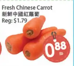 Fresh Palace Supermarket Fresh Chinese Carrot offer