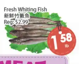 Fresh Palace Supermarket Fresh Whiting Fish offer