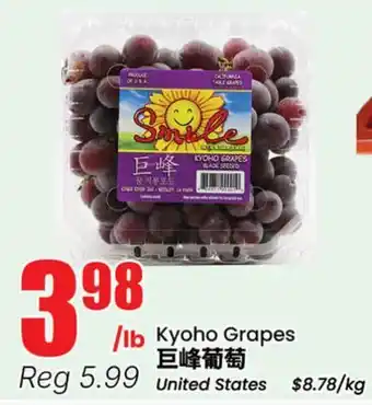 Terra Foodmart Kyoho Grapes offer